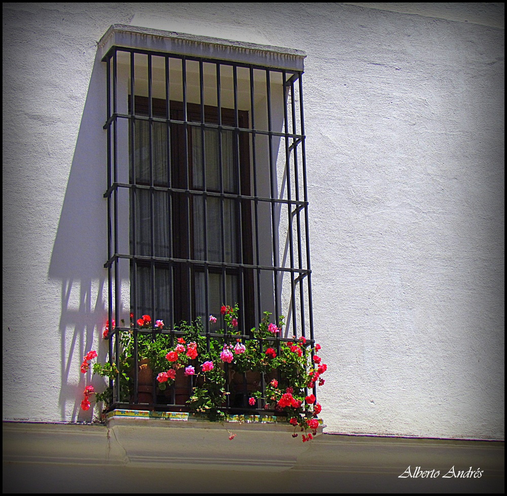 "Balcones de Andalucia" de Alberto Andrs Melo