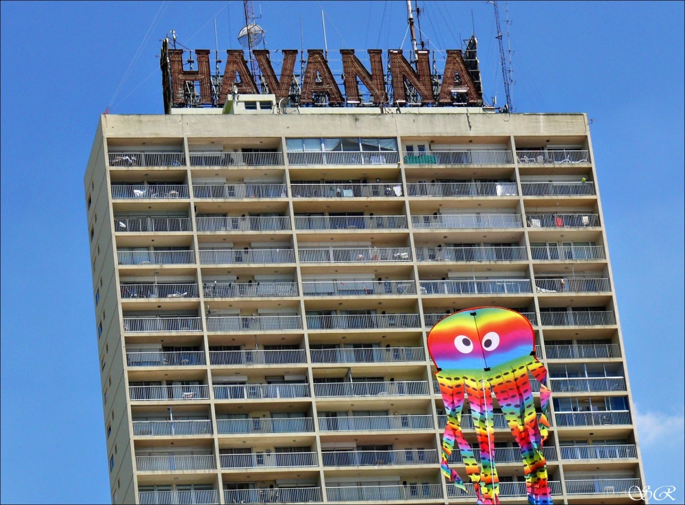 "Un Pulpo en La Havanna" de Silvia Rodrigo