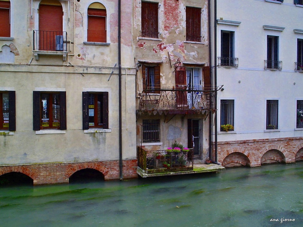 "caminando Treviso, It" de Ana Giorno