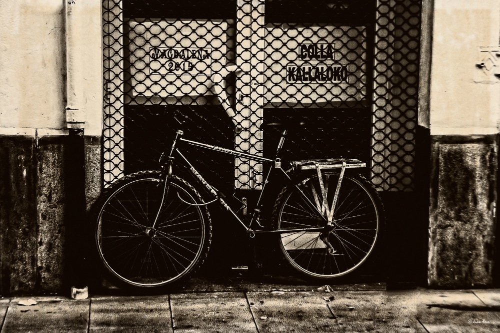 "Bicicleta." de Juan Beas