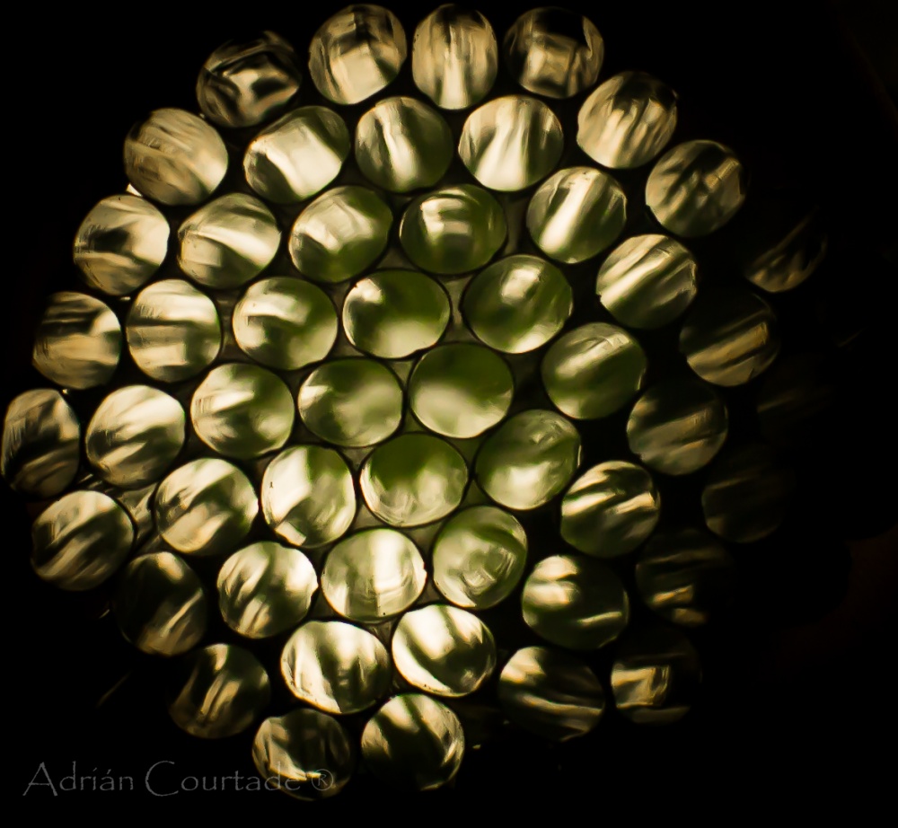 "Celdas Circulares" de Adrian Courtade