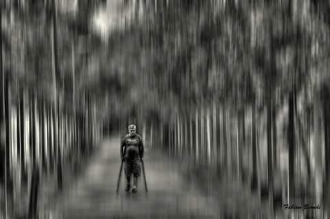 "El caminante" de Fabian Biondi