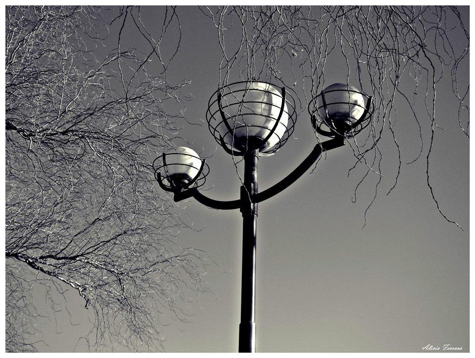 "Street lamp" de Alicia Ferrara