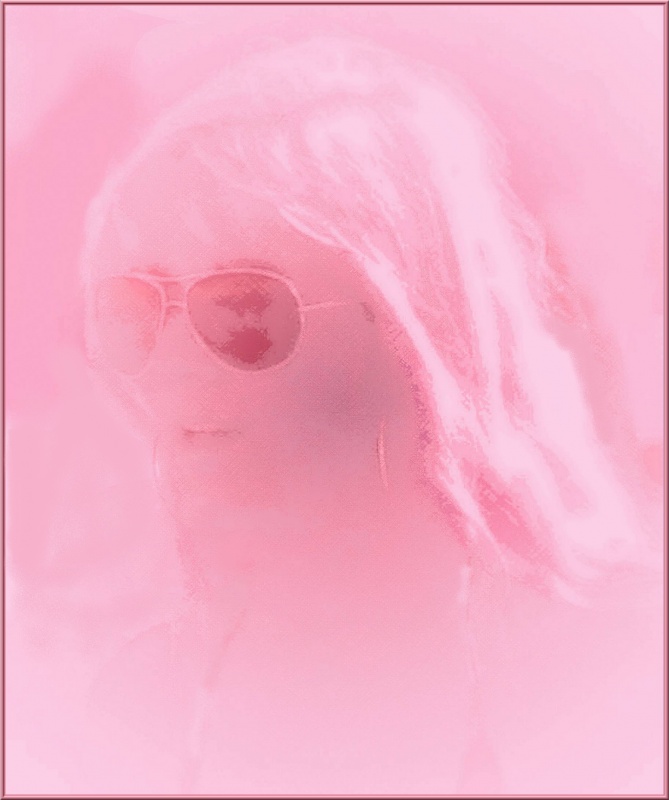 "Color de rosa" de Daniel Gil Feilberg