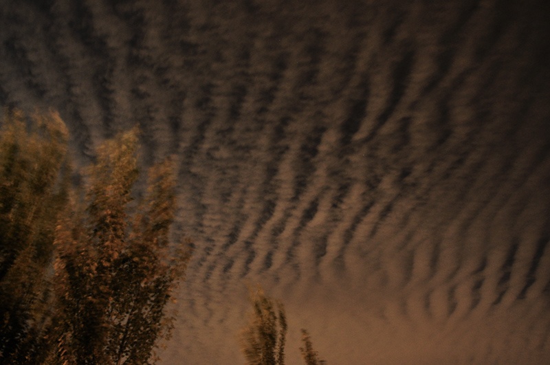 "Nubes cenicientas" de Osvaldo Sergio Gagliardi