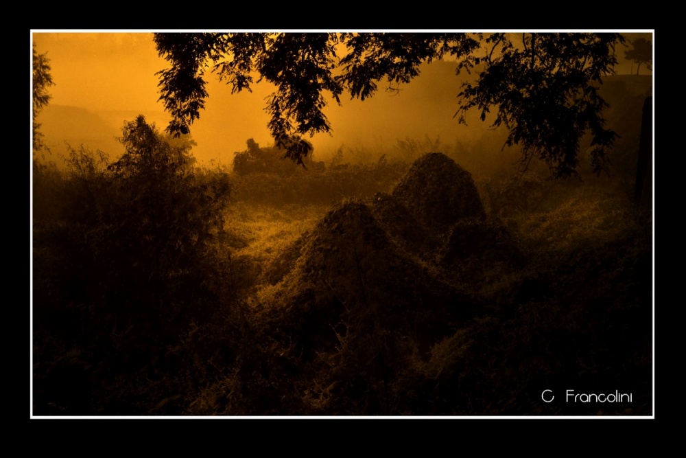 "Entre la niebla y el sol..." de Cristian Francolini