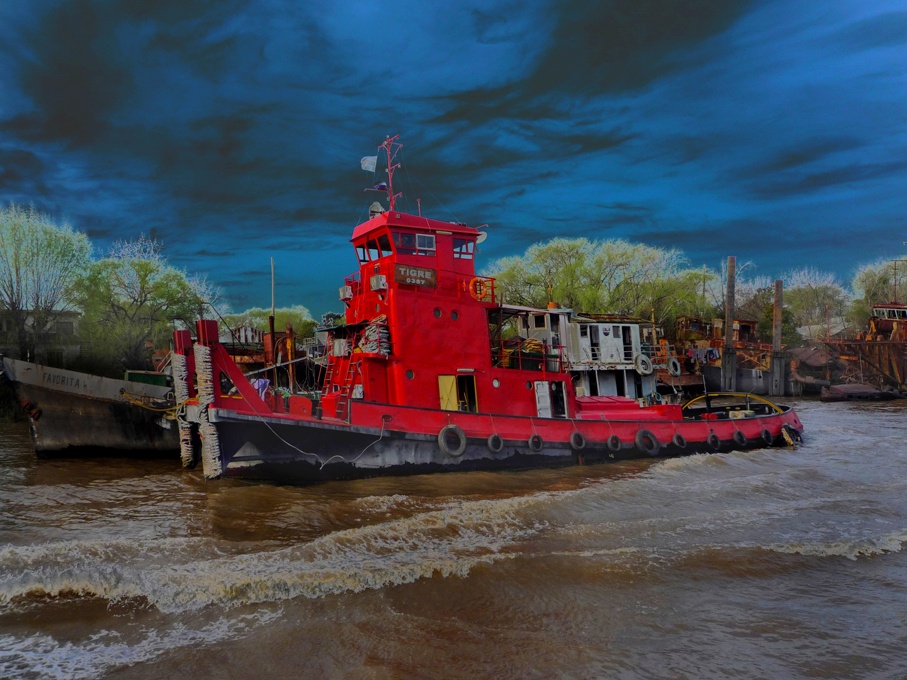 "Viejo barco del Tigre" de Ricardo S. Spinetto
