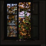 ventana a la naturaleza