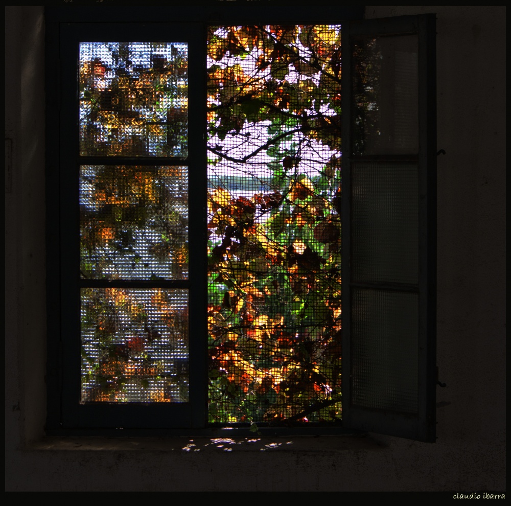 "ventana a la naturaleza" de Claudio Ibarra