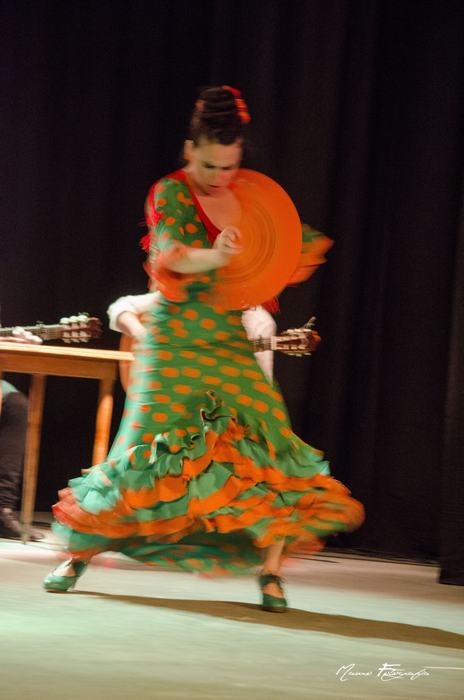"Flamenco" de Cristian Mauro Arias