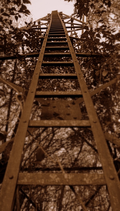 "Stairway to heaven" de Claudio Spirito