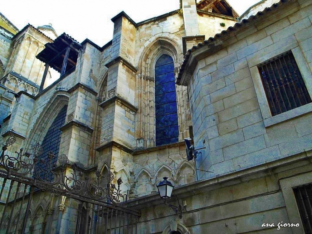 "Catedral de Toledo" de Ana Giorno
