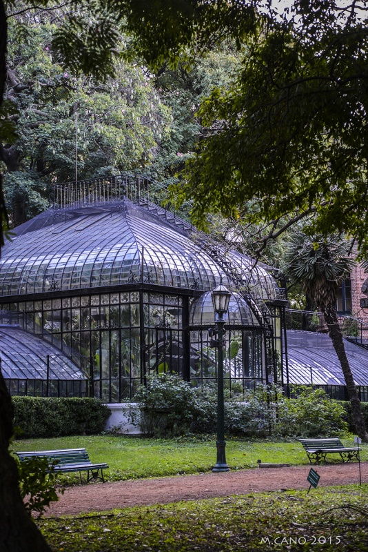 "Invernadero , en el Jardin Botanico.." de Marcelo Nestor Cano