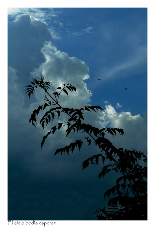 "El cielo poda esperar..." de Nora Lilian Iturbide ( Noral )