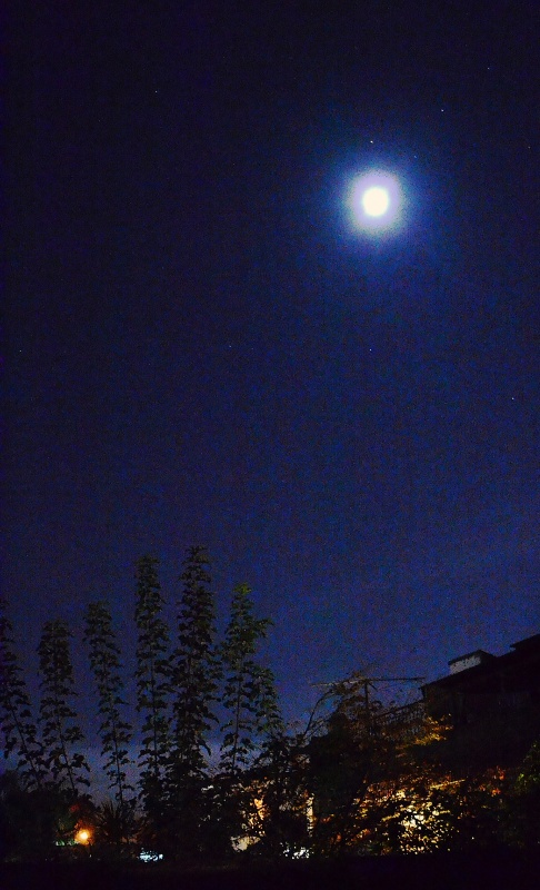 "La luna, anoche" de Mercedes Pasini
