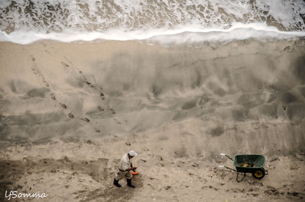 "Trabajando en la playa" de Luis Fernando Somma (fernando)