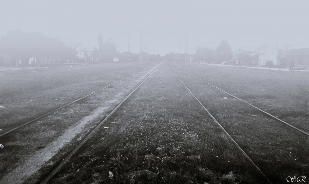"Fuga en la neblina" de Silvia Rodrigo
