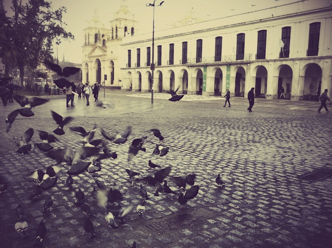 "Plaza , cabildo y palomas" de Leonardo Gmez
