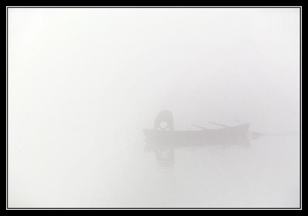 "Pesca y niebla !!" de Alberto Matteo