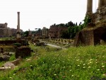 ms ruinas del Foro romano