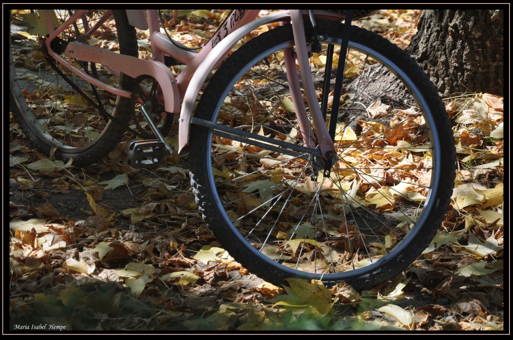 "Bicicleta otoal..." de Maria Isabel Hempe