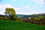 La verde colina