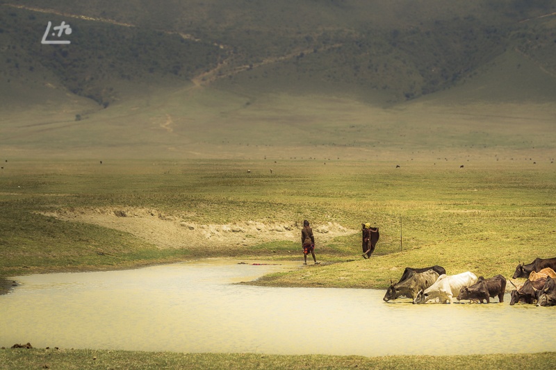 "Pastores en Ngorongoro" de Angel Triana