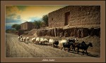 El Pastorcito de Alto Jage
