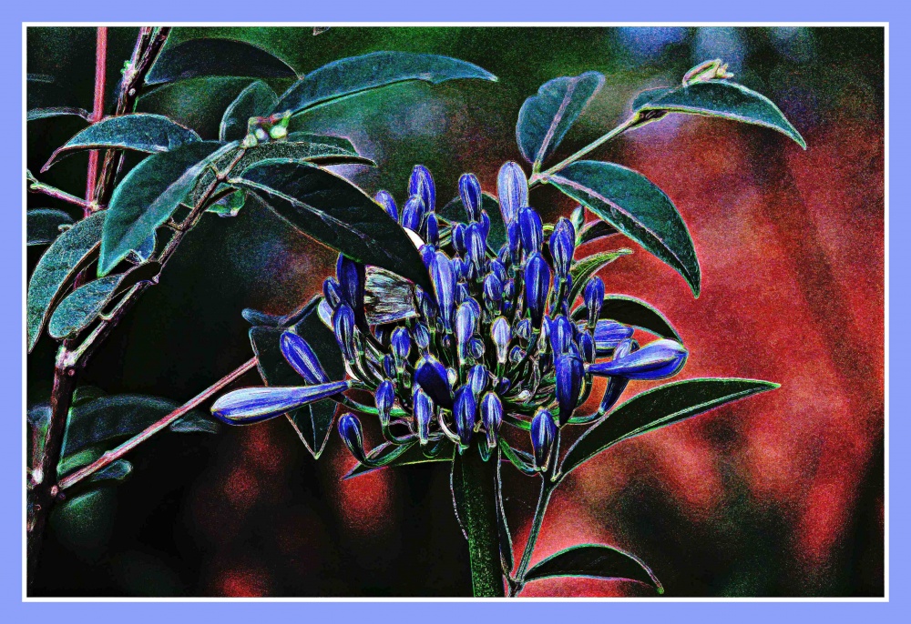 "azul flor" de Guillermo Covelli