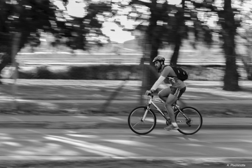 "Ciclista" de Andrs Pluchinotta