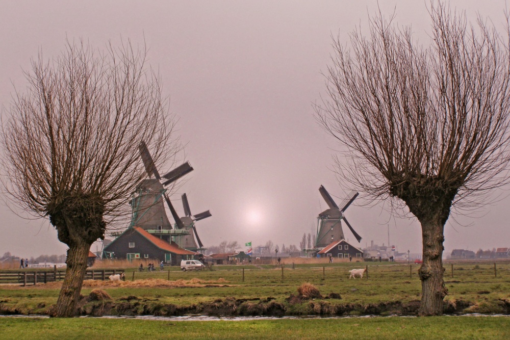 "Paisaje de Holanda" de Jos Medin Arnau Cantavella