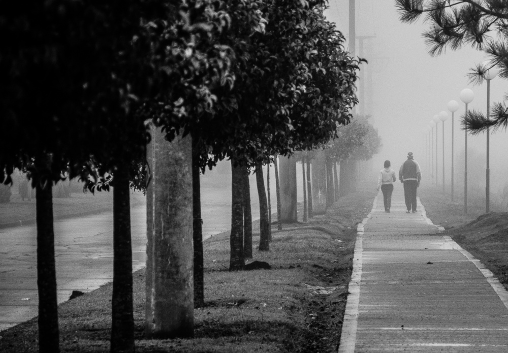 "Siempre la niebla" de Fernando Valdez Vazquez