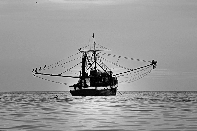 "En el mar" de Osvaldo Sergio Gagliardi