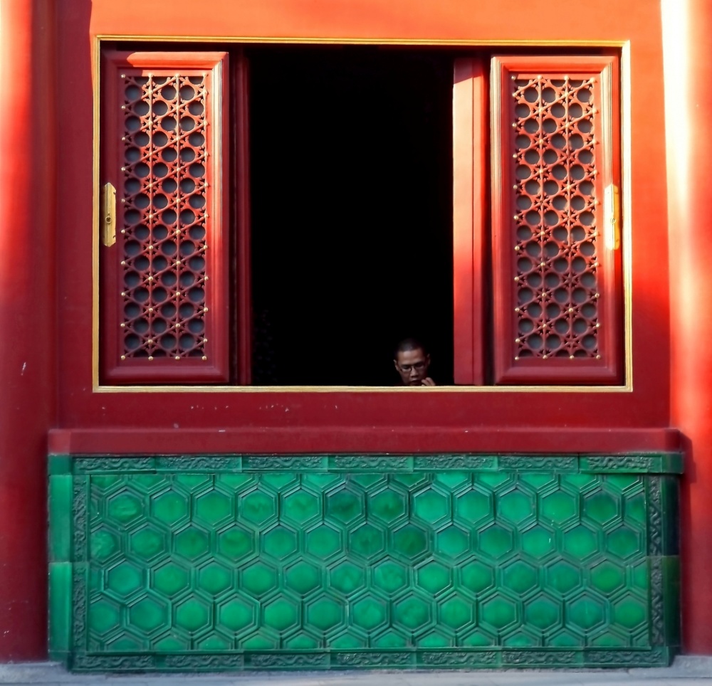 "Lama en la ventana." de Francisco Luis Azpiroz Costa