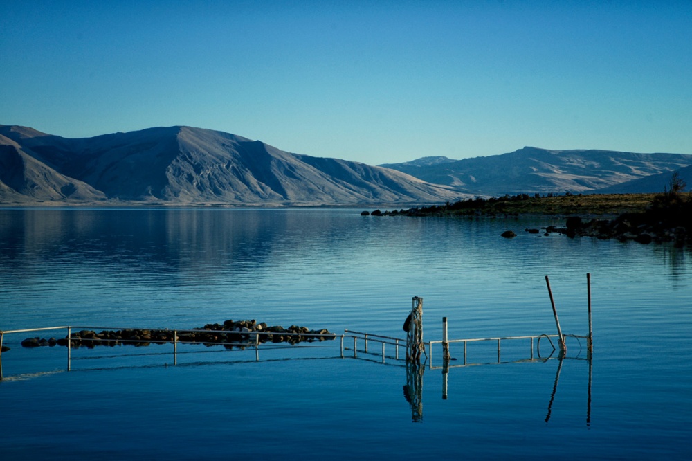 "Reflejos en el lago" de Gisele Burcheri
