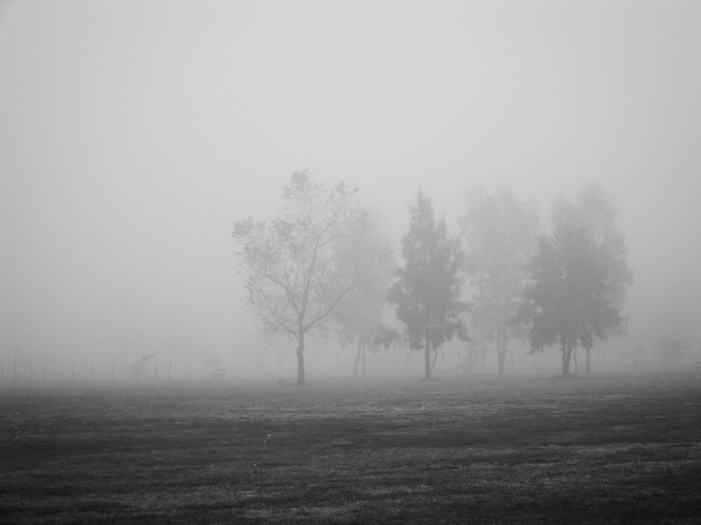 "Niebla I" de Nanci Zumino