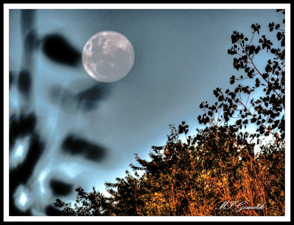 "la Luna se asoma" de Margarita Gesualdo (marga)