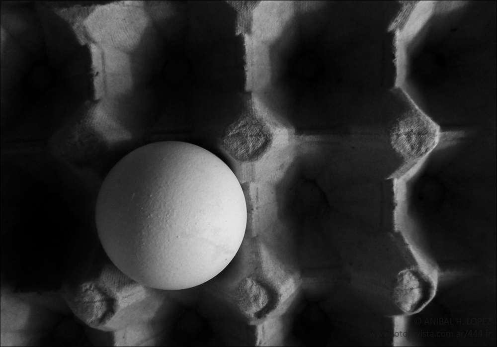 "uovo" de Aníbal H. López