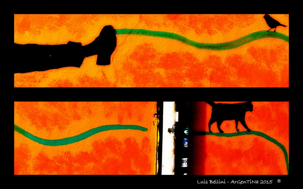 "El gato y el canario" de Luis Alberto Bellini