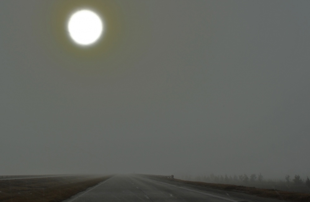 "Sol entre niebla" de Mercedes Pasini