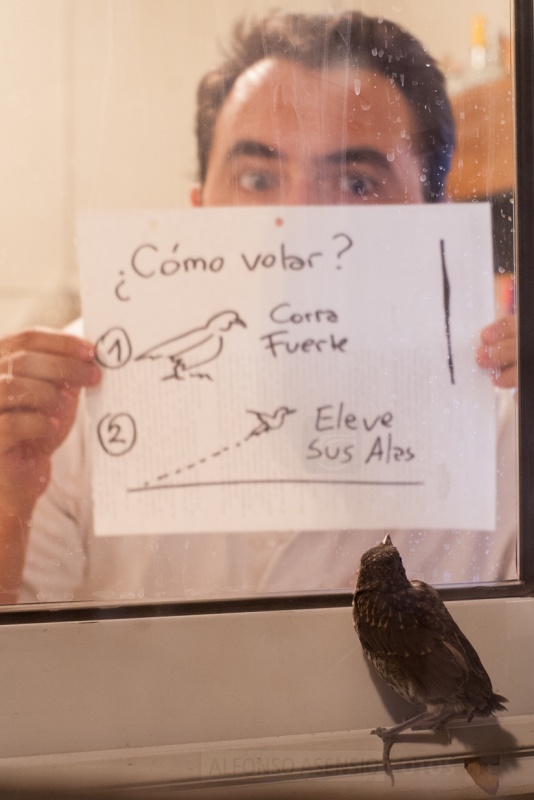 "Instrucciones de vuelo" de Alfonso Asensio Gonzlez