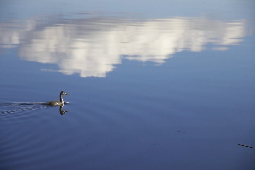 "Surcando el cielo" de Edith Polverini