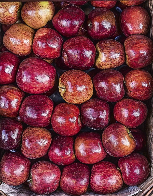"Manzanas" de Carlos Gianoli