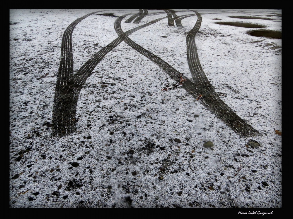"Huellas en la nieve" de Mara Isabel Gargevcich