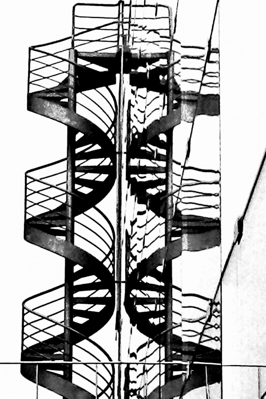 "escalera genmica" de Guillermo Covelli