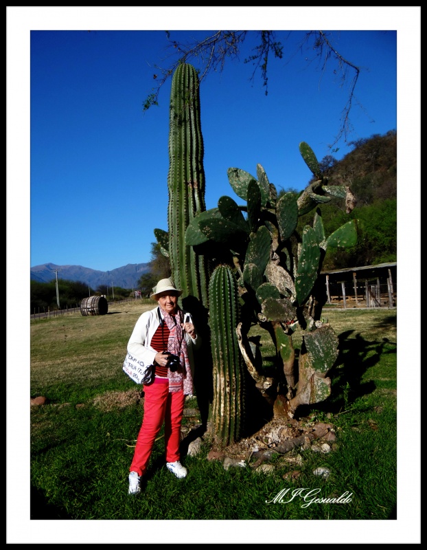 "los Cactus y Yo" de Margarita Gesualdo (marga)