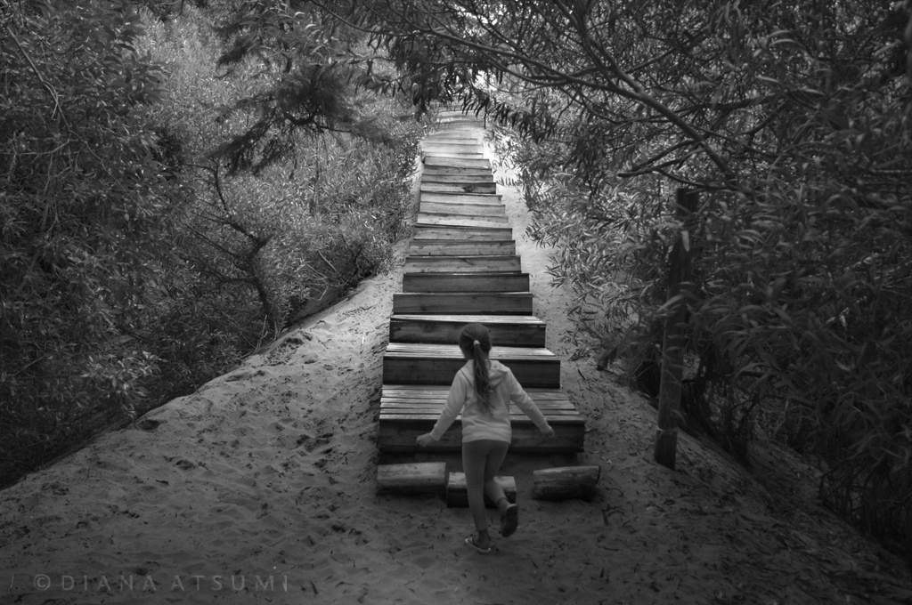 "Una escalera al mar" de Diana Atsumi