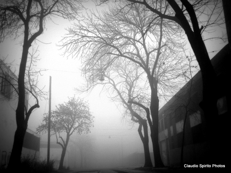 "The fog" de Claudio Spirito