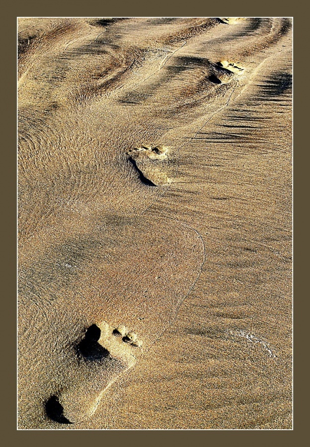 "Pisadas en la arena" de Cristian de Los Rios