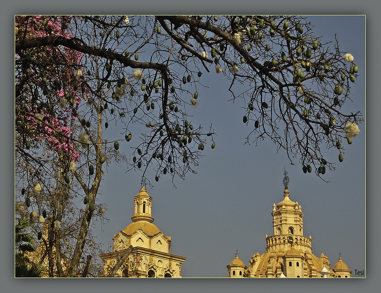 "Catedral de Crdoba . ( en primavera )" de Tesi Salado